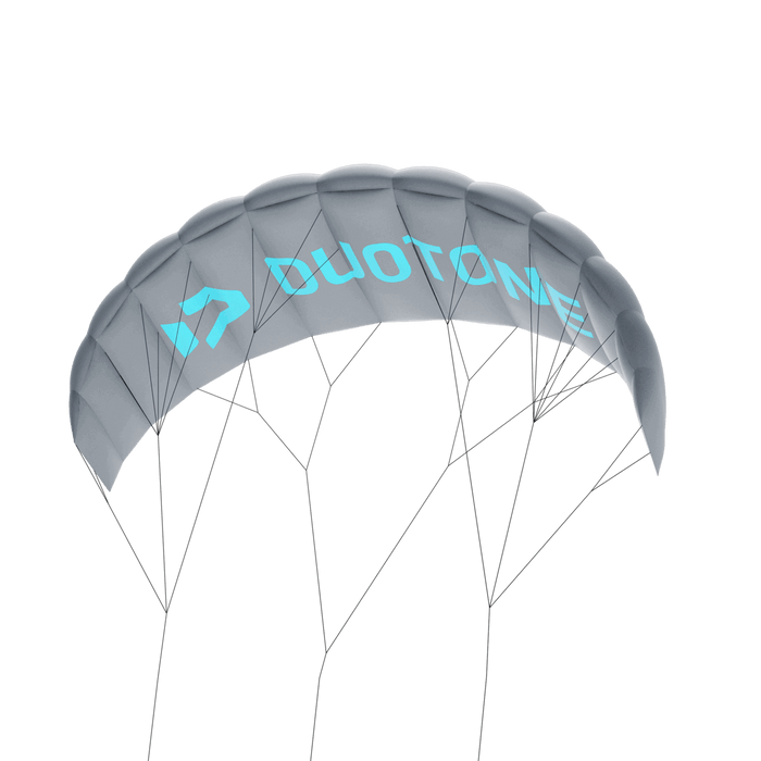 Duotone Lizard without leash